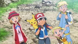 xy (5)