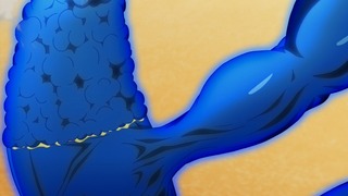 cap (31)