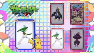 xy (86)