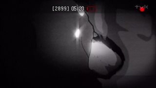 kowa (39)