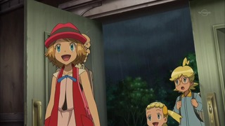 xy (17)