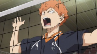 cap (229)
