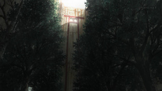 cap (49)