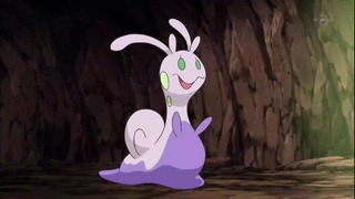 xy (163)