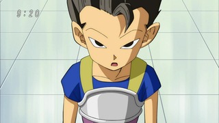 cap (141)