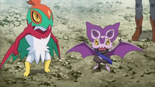 xy (124)