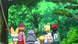 xy (163)