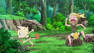 xy (42)