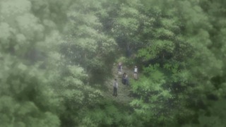 cap (233)