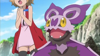 xy (109)