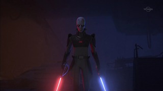 sw (81)