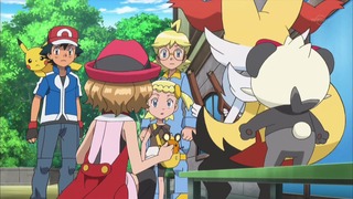 xy (18)