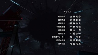 cap (219)