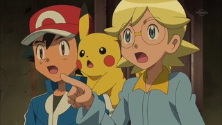 xy (96)