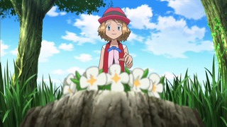 xy (83)