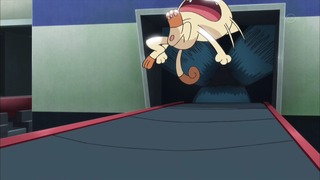xy (123)