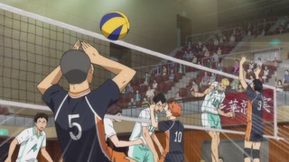 cap (255)