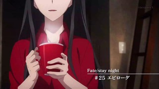 fate (12)