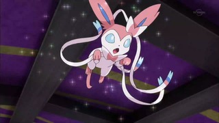 xy (176)