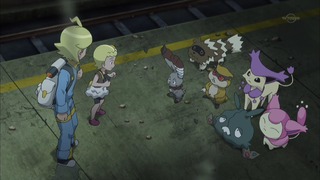 xy (141)