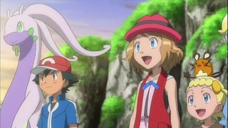 xy (143)