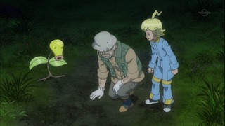 xy (111)