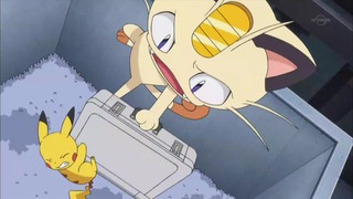 xy (97)
