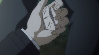 cap (100)
