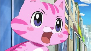 cap (11)