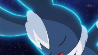 xy (52)