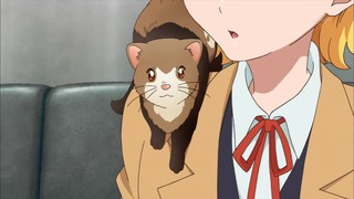 cap (131)
