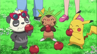 xy (166)