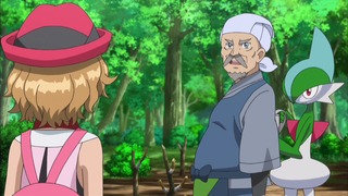 xy (166)