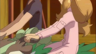 xy53 (147)