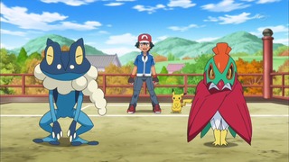 xy (38)