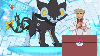 xy (238)