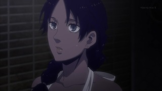cap (237)