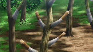 xy (164)
