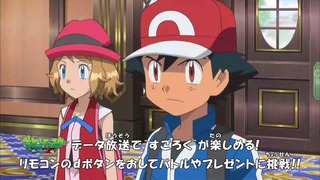 poke (16)