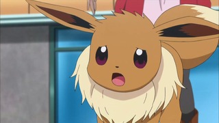 xy (149)