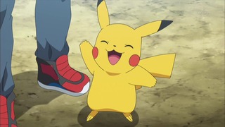 xy (95)