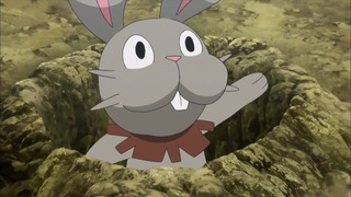 xy (54)