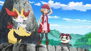 xy (127)