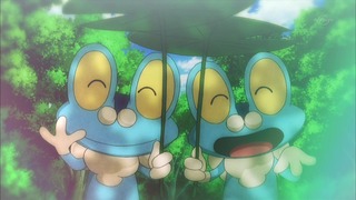 xy (104)
