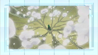 xy (182)