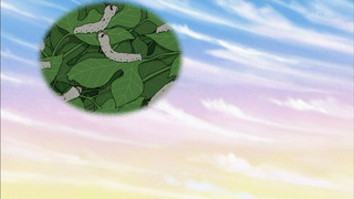maruko-199