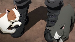 cap (29)