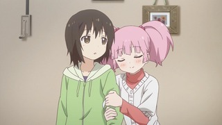 yy-254