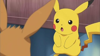 xy (96)