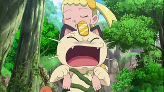xy (105)